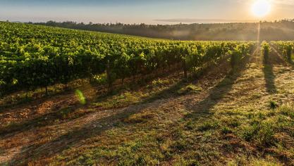 tuscany-428041_1920