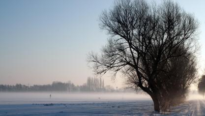 winter-3858215_1920