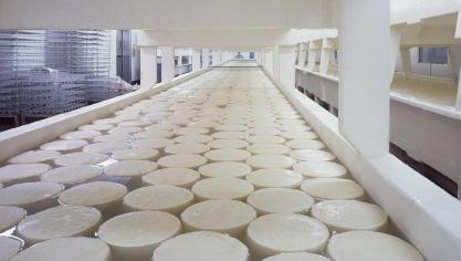 cheese-721145
