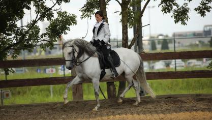 La base, le rythme, les mains fixes, une bonne position…. Quelques principes essentiels du dressage classique sur lesquels Noémie reste intransigeante lors de son enseignement.