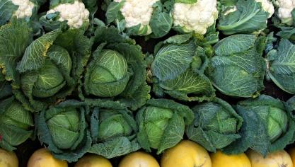vegetables-1736170_1920