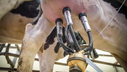 milk-3455395_1920