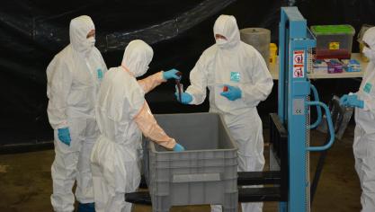 345 cas ont été identifiés suite aux prélèvements d’échantillons réalisés dans le centre de collecte des carcasses installé à Virton.