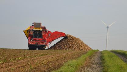 «Si les gains de productivité du modèle sont à Seneffe et en Belgique, ce n’est pas un hasard. C’est là, dans la meilleure région betteravière qu’il est le plus intéressant de placer l’usine la plus moderne d’Europe», dit Benoît Haag, coordinateur de la CoBT.