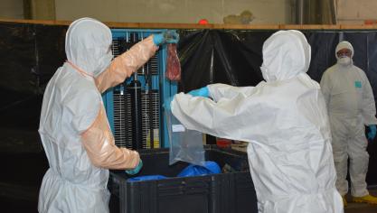 Alors que se poursuivent les analyses des carcasses potentiellement contaminées  par le virus, un nouveau pas a été franchi sur plan judiciaire.
