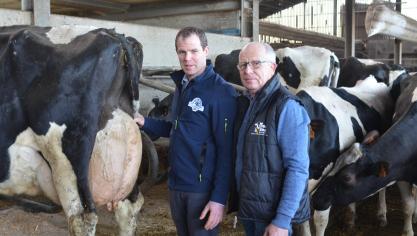 Stéphane et Ludovic Feys travaillent tous deux en parfaites complémentarité. Si le premier travaille l’aspect alimentation, le second s’intéresse surtout à la génétique.