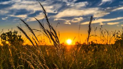 summer-2391348_1920