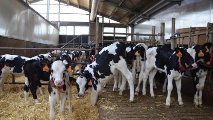Les gros consommateurs d’antibiotiques, mais aussi ceux à surveiller, doivent prendre des mesures en concertation avec leur vétérinaire pour réduire de manière durable leur  consommation.