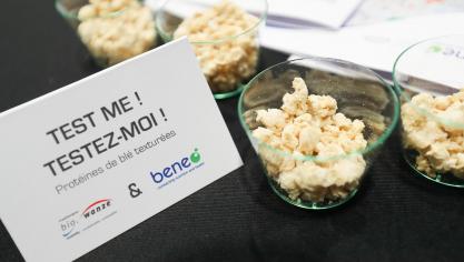 belgaimage-146266974-full