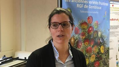 «La lutte contre le mildiou requiert la mise sur le marché d’un plus large éventail de variétés associant une meilleure résistance à cette maladie et une qualité technologique conforme aux besoins du marché. Le Centre wallon de recherches agronomiques participe à ce travail par la voie de la création variétale», relève Alice Soete.