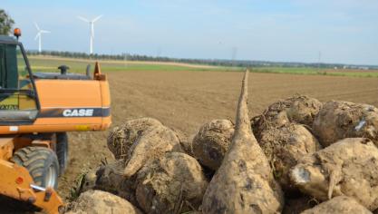 « 1.300 sympathisants et betteraviers qui investissent dans une coopérative wallonne,  c’est un engagement extrêmement fort pour lequel on se doit d’aller jusqu’au bout.  Aujourd’hui le projet est concret et devrait convaincre un plus grand nombre».