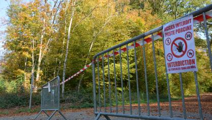La zone tampon occupe désormais  près de 60.000 ha.