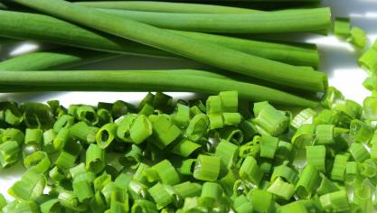 chive-3308468_1920