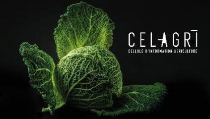 Celagri