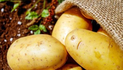 potatoes-1585060_1920
