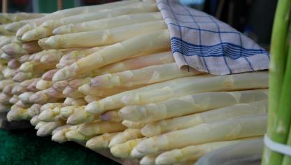 asparagus-823785_1920