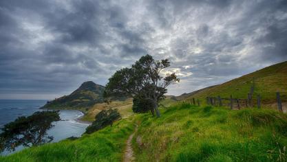 new-zealand-583174_1920