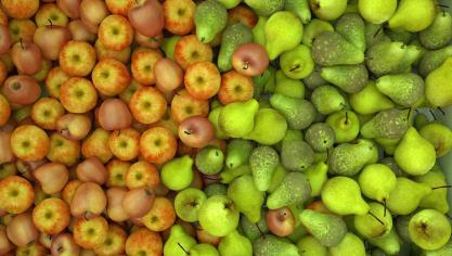 apples-1175230_1920