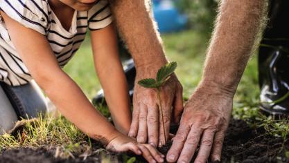 L’agriculture biologique et les alternatives liées  à la valorisation des productions locales ont le vent en poupe.