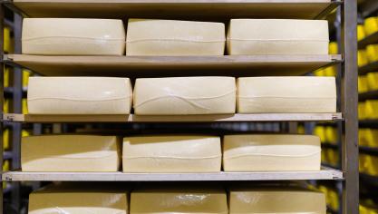 En Europe, les cours du fromage sont stables,  tandis qu’ils sont en hausse sur le marché mondial.