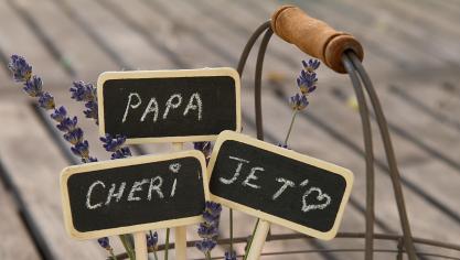 AdobeStock_32795364