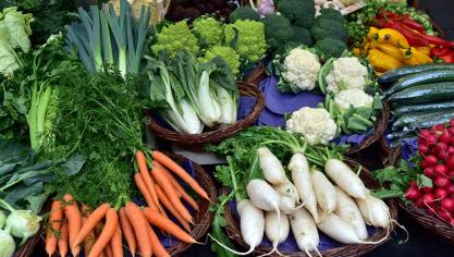 En 2018, presque 3 familles sur 4 ont acheté au moins une fois des légumes bio.