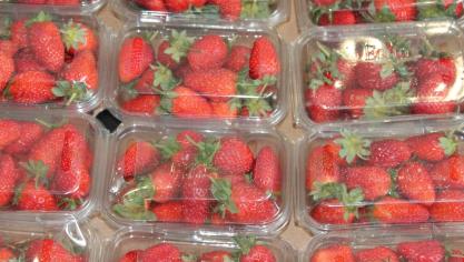 food-2725415_1920
