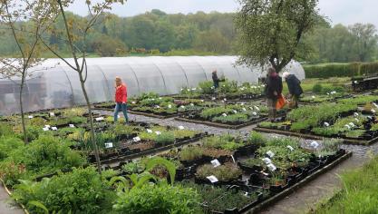 La gamme de plantes comestibles permet de créer son jardin en fonction de qui l’on est et de comment l’on cuisine.