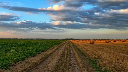 nature-213364_1920