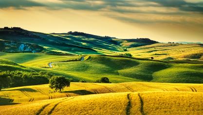 AdobeStock_84758664