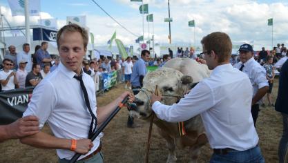 Le blanc-bleu déchaînera une nouvelle fois les passions tout au long de la journée de samedi, et surtout après 16 h, lors des championnats.