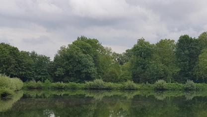Water_Eau_2019