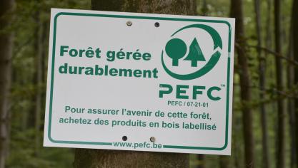 En Wallonie, 300.000
ha, soit 54
% de la surface forestière, sont certifiés PEFC.