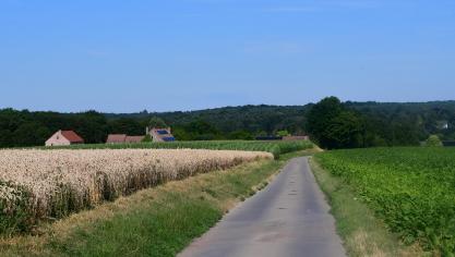 En 2018, 3.455 ventes de parcelles cadastrales bâties et non bâties, situées totalement ou partiellement en zone agricole au plan de secteur, ont été notifiées, soit 7.059 ha pour un montant global de 465,61 millions d’euros.