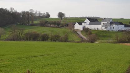DSC_1119