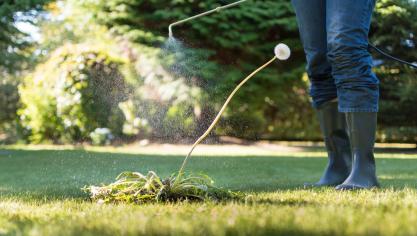 AdobeStock_226319364