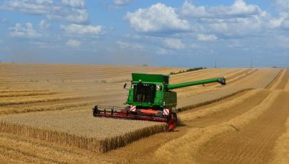 La deuxième vague de la moisson des blés a démarré fin juillet après les quelques pluies qui ont suivi l’épisode caniculaire ponctué par des températures record le jeudi 25. Ces précipitations ont pesé sur la qualité des grains, mais pas sur les rendements.