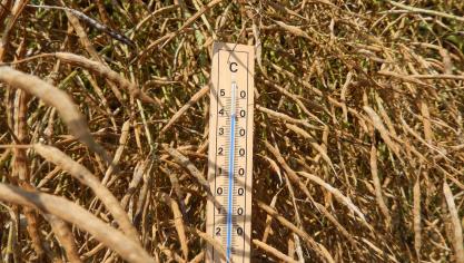 La saison culturale qui vient de prendre fin a été loin d’être un long fleuve tranquille pour les producteurs de colza. Une nouvelle saison commence, que l’on espère bien plus heureuse!