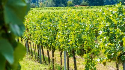 L’UE demeure le premier exportateur de produits agroalimentaires dans le monde, et occupe le 2
e
 rang sur le plan des importations.