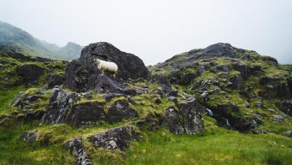 AdobeStock_231466326