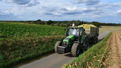 Les ensilages ont bien progressé au centre du pays, notamment, le week-end dernier.