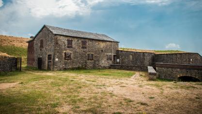 AdobeStock_239815886