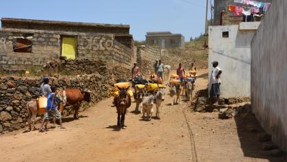 Le Cap-Vert est l’un des pays concernés. Cet archipel sis au large du Sénégal souffre d’un cruel et récurrent manque de pluies. L’approvisionnement en eau mobilise quotidiennement une partie de la population! Une réalité bien éloignée de la nôtre et qui donne à réfléchir!