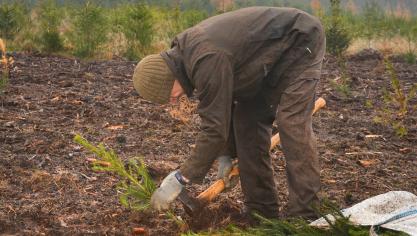 La prime s’élève à 750
€ par hectare reboisé, pour autant qu’au moins trois espèces soient installées.