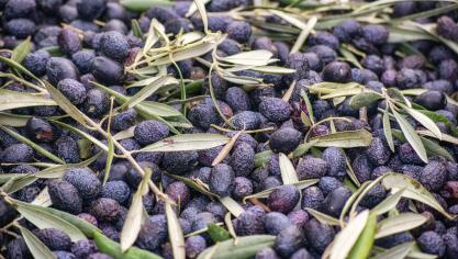 Parmi les produits visés par les nouvelles taxes américaines, on trouve les vins espagnols et français, les fromages italiens et anglais, mais aussi les olives et huile d’olive d’Espagne.