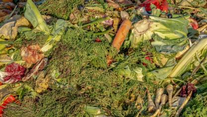 compost-3663514_1920