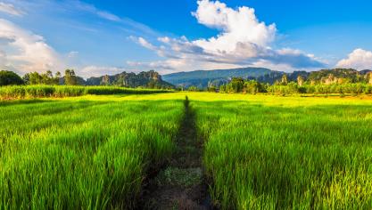 AdobeStock_291373621