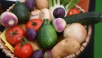 Pas moins de 16 programmes promotionnels seront spécifiquement dédiés au secteur des fruits et légumes.