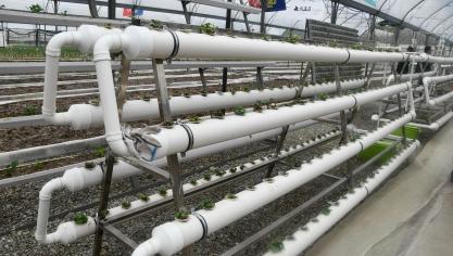 Les champs et potentialités d’innovation technologique dans le domaine de la production végétale notamment sont immenses. Une des applications concerne la verticalité et l’automatisation dans des espaces totalement contrôlés.