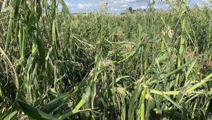 Les agriculteurs sont en première ligne pour observer, et souvent subir, le changement climatique qui s’extériorise sous différentes formes et que rien ne freine jusqi’ici.